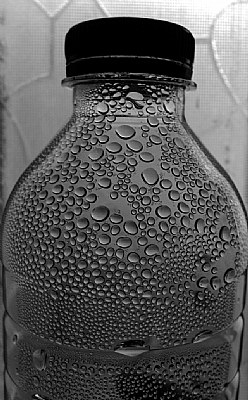 a bottle of water 
