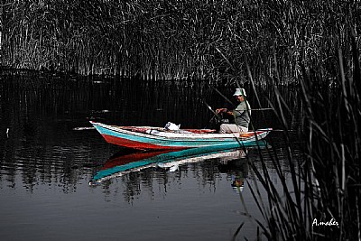  THE FISHERMAN AND HIS BOAT