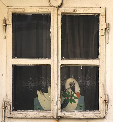 a window