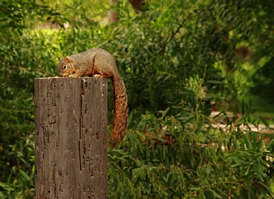 "Snack Time"