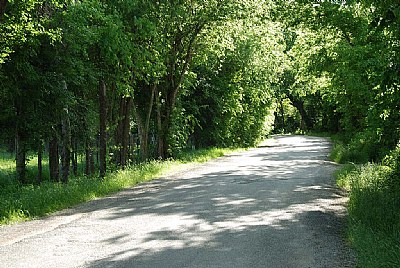 Country Lane