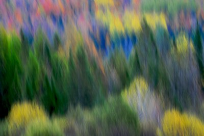 fall colours bancroft 10