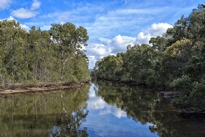 WETLANDS