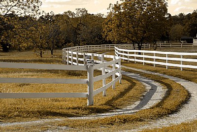 Curved Driveway with Fence