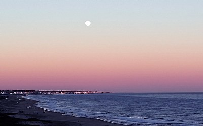 Moon &  Ocean