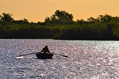 Later Fisherman