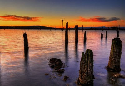 Crusty Old Pilings