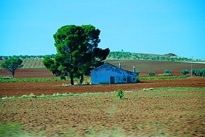 El paisaje