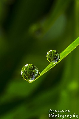 Two Drops