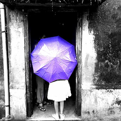 The purple umbrella 
