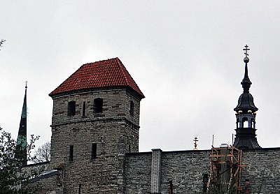 Wall & Tower