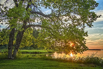 Sunset on Wetipquin Creek II