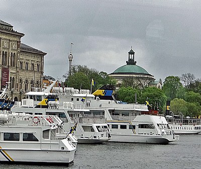 Boats & Trees