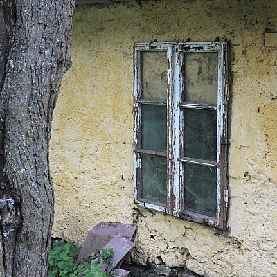 backyard-window
