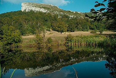 Reflection