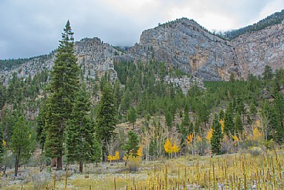 When fall comes to Mount Charleston
