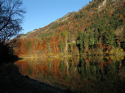 Lac de Montbovon (2)