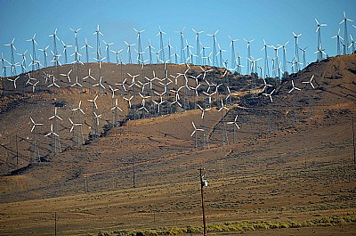Tehachapi Wind Farm