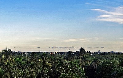 Sky & Trees