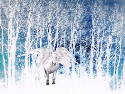 Winter Pegasus