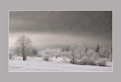 winter in tyrol