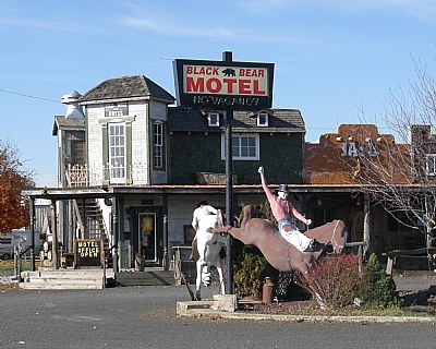 Black Bear Motel