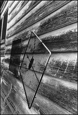 On the Backwall of the OLd McCurley Home :1995