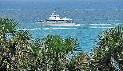 Bushes & Boat