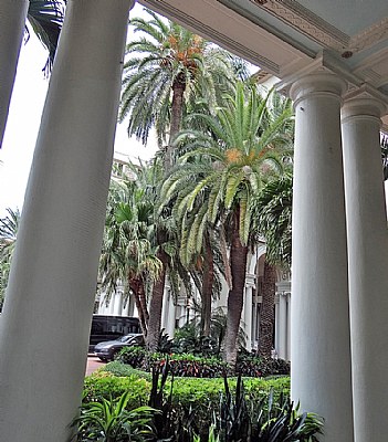 Palms & Columns