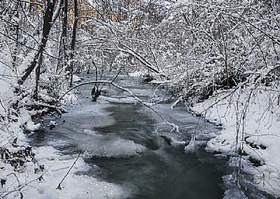 Winter day