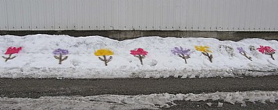 Sno Flowers