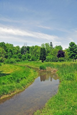 Urban Park Creek