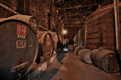 Port Wine cellar