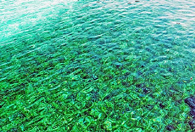 Green Water