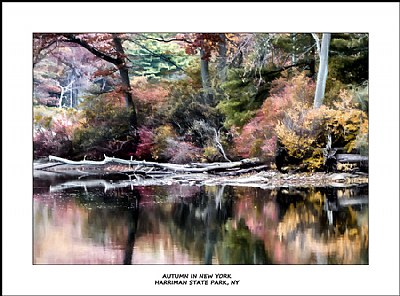 Autumn in New York