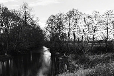 Finn Slough (1)