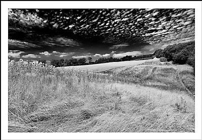 *** LandScape  II ***