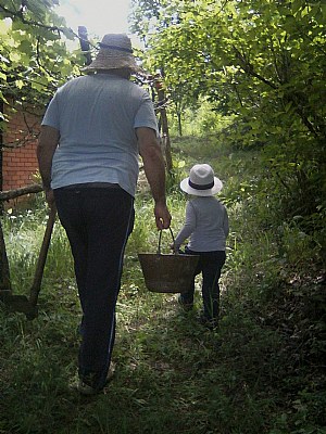 Grandfather and grandson