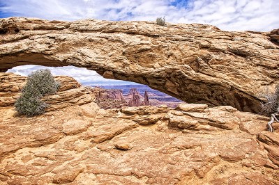 MESA ARCH