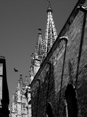 Spires and Spouts