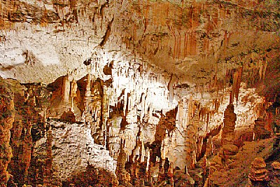 Postojne Cave 7