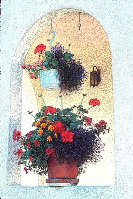 Flowers in Arch