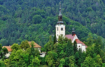 Church & Wood