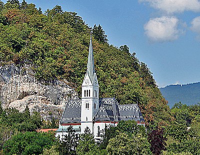 Trees & Church