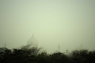 Early Morning - Taj