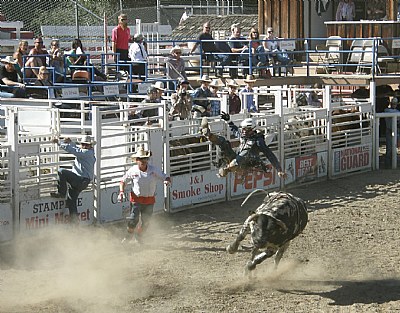 Bull Toss