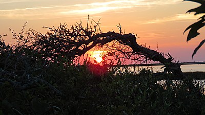 Sunset at Pea Island