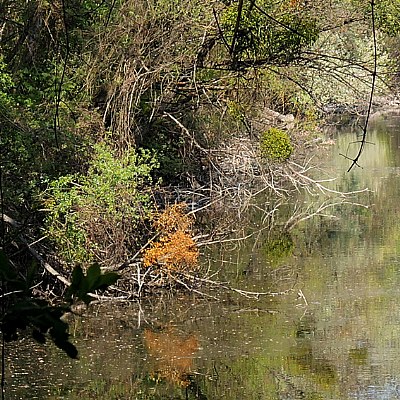 heustadlwasser