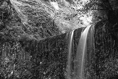 Silver Falls Detail