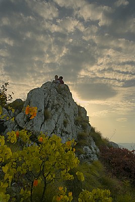 Autumn in the canyon